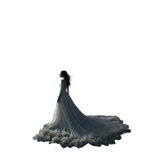 dress, crown, hair, jewelry transparent PNG cut-out