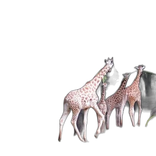 animal, creature, concept art, 3d render transparent PNG cut-out