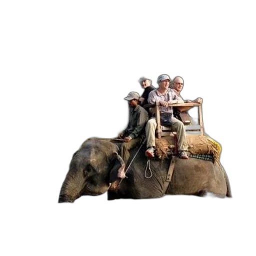 animal, furniture, car, hat transparent PNG cut-out