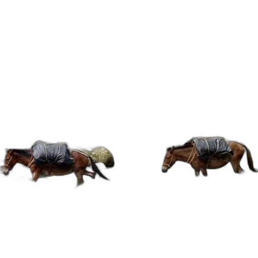 animal, creature, furniture, robot transparent PNG cut-out