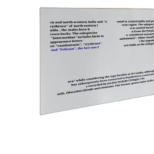 3d render, text-heavy, image, discussing transparent PNG cut-out