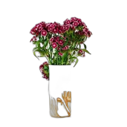 flower, jewelry, crown, bottle transparent PNG cut-out