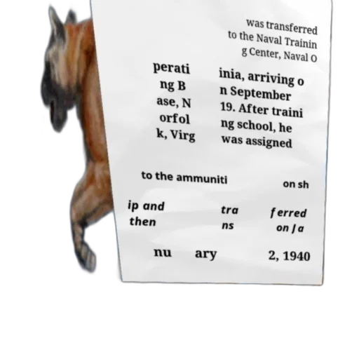 animal, creature, dragon, hat transparent PNG cut-out