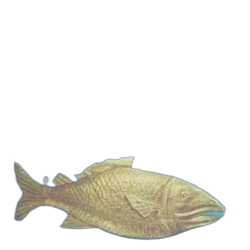 animal, staff, jewelry, creature transparent PNG cut-out