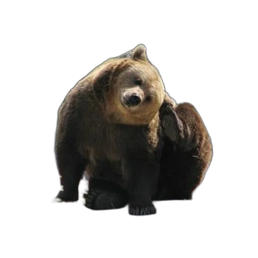 animal, creature, staff, 3d render transparent PNG cut-out