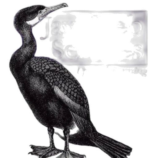 animal, creature, staff, face transparent PNG cut-out