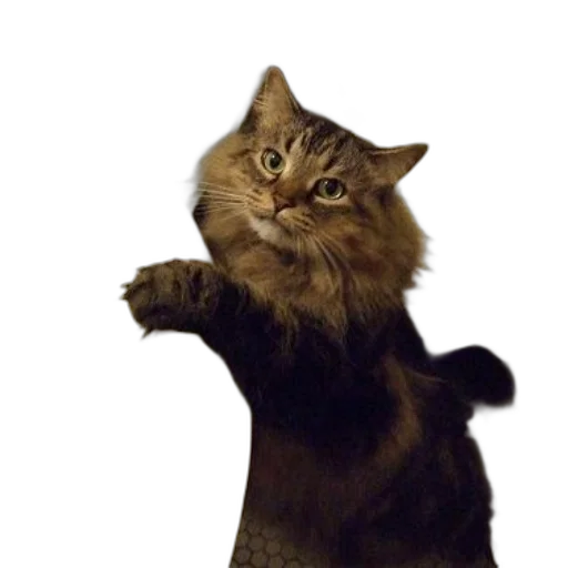 animal, staff, creature, photorealistic transparent PNG cut-out