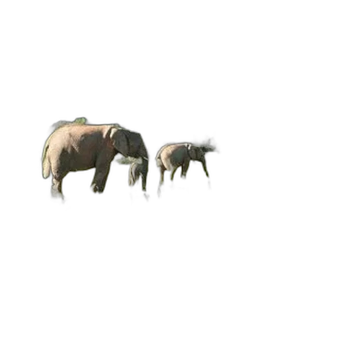 animal, creature, weapon, dragon transparent PNG cut-out