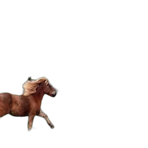 animal, furniture, creature, weapon transparent PNG cut-out