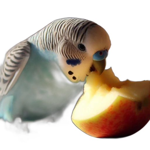 mask, creature, jewelry, animal transparent PNG cut-out