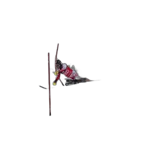 staff, sword, flower, weapon transparent PNG cut-out