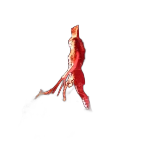 animal, creature, food, hair transparent PNG cut-out