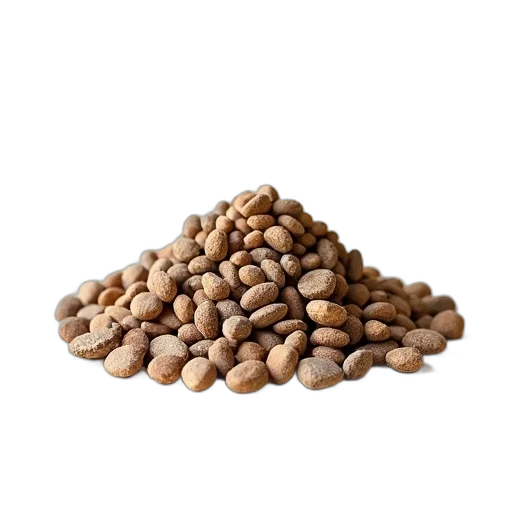 food, crown, animal, hair transparent PNG cut-out