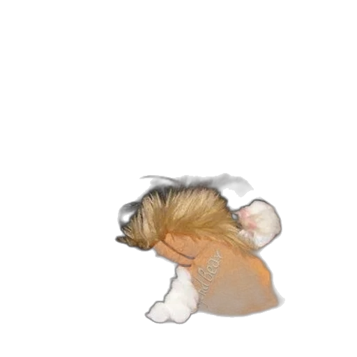 hair, animal, hat, creature transparent PNG cut-out