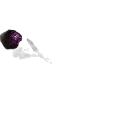 food, flower, weapon, hair transparent PNG cut-out