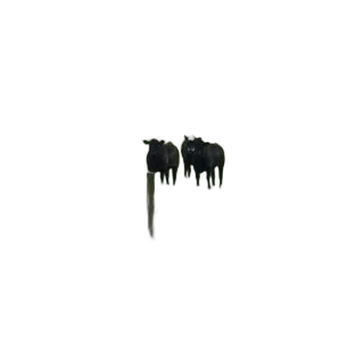 hair, staff, jewelry, weapon transparent PNG cut-out