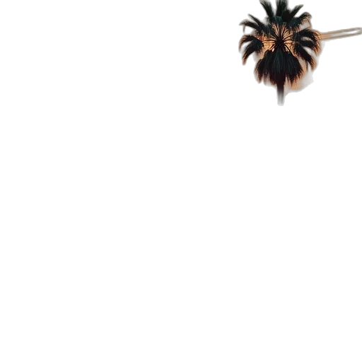 hair, staff, umbrella, sword transparent PNG cut-out
