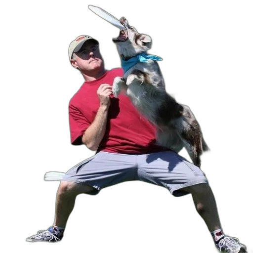 animal, staff, creature, weapon transparent PNG cut-out