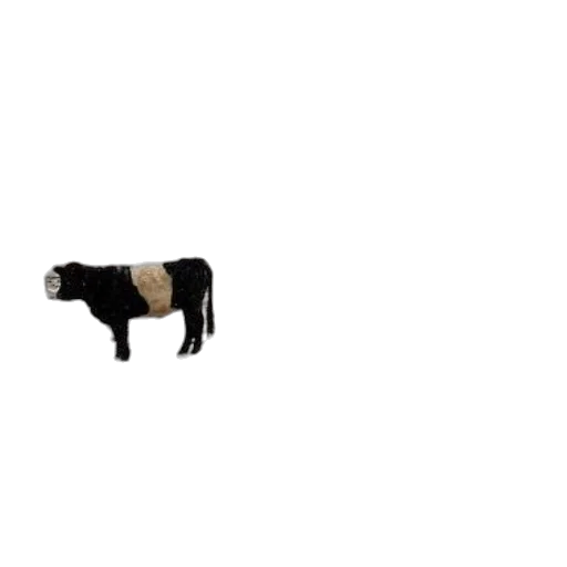 animal, creature, food, hair transparent PNG cut-out