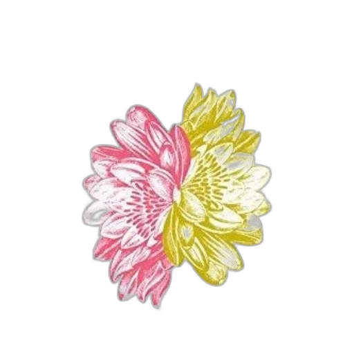 flower, jewelry, crown, staff transparent PNG cut-out