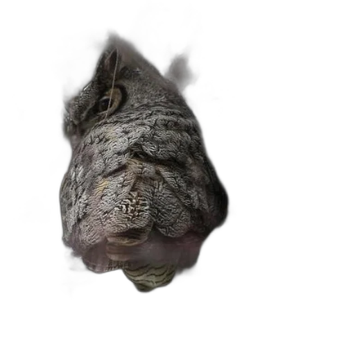 face, mask, animal, hair transparent PNG cut-out