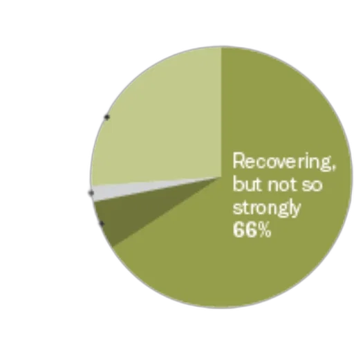 green, earth tones, pie, chart transparent PNG cut-out