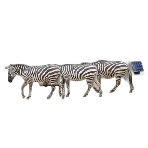 animal, furniture, jewelry, staff transparent PNG cut-out