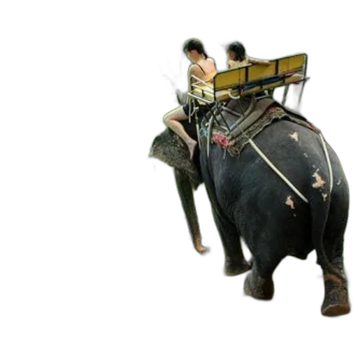 animal, staff, weapon, robot transparent PNG cut-out