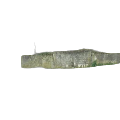 sword, weapon, staff, crown transparent PNG cut-out