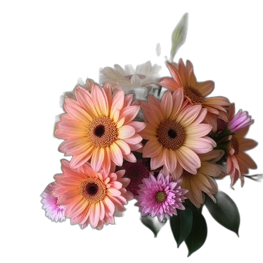 flower, crown, jewelry, photorealistic transparent PNG cut-out