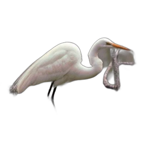 animal, creature, dragon, staff transparent PNG cut-out