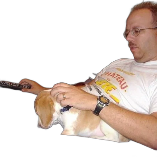 staff, weapon, animal, sword transparent PNG cut-out