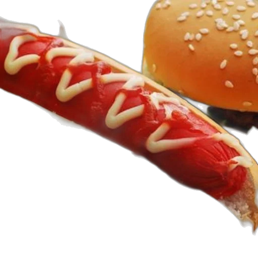food, weapon, animal, creature transparent PNG cut-out