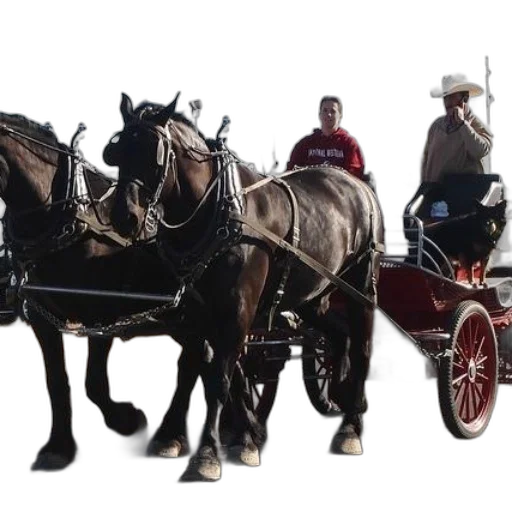 car, staff, concept art, two transparent PNG cut-out