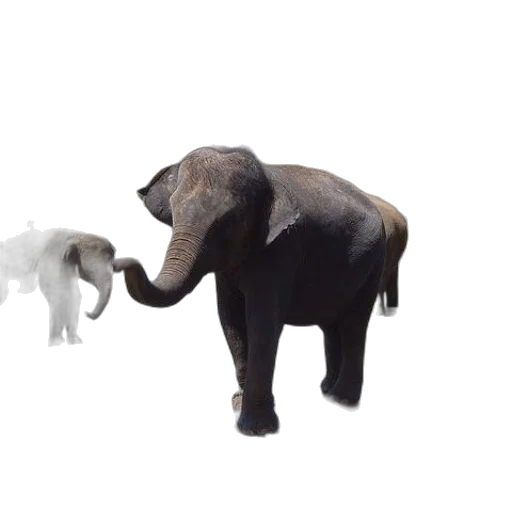 animal, creature, 3d render, concept art transparent PNG cut-out