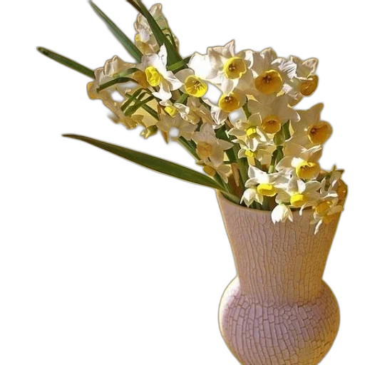 flower, crown, jewelry, hat transparent PNG cut-out