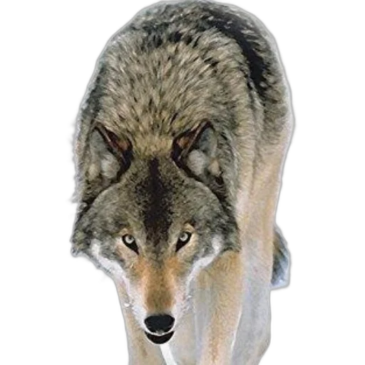 animal, creature, staff, mask transparent PNG cut-out