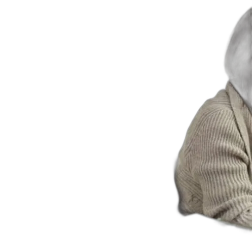 jacket, mask, hat, creature transparent PNG cut-out