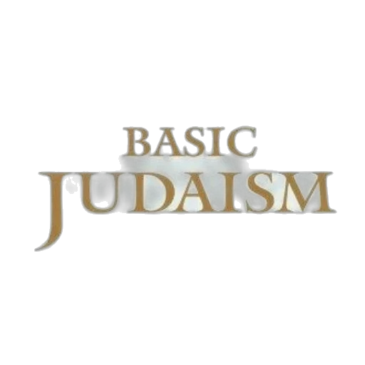 basic, judaism, book, cover transparent PNG cut-out