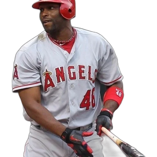 animal, weapon, staff, baseball transparent PNG cut-out