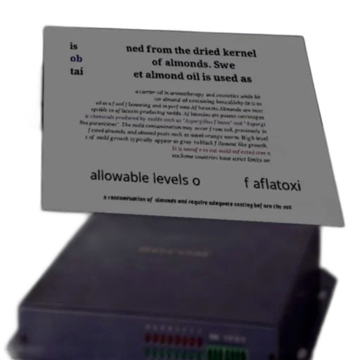 robot, 3d render, text-based, image transparent PNG cut-out
