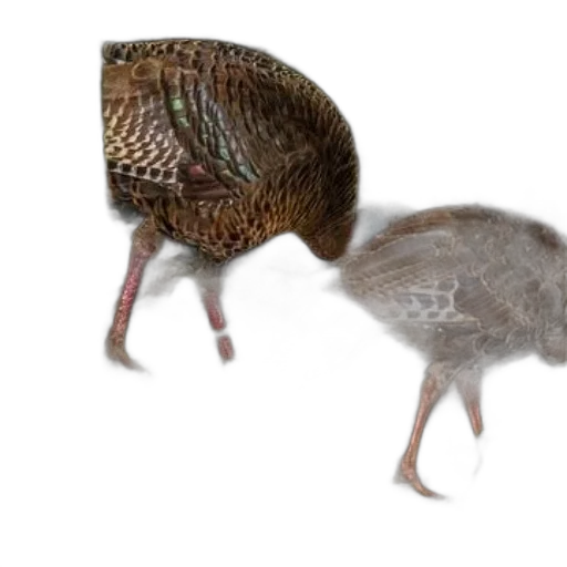 creature, animal, hair, robot transparent PNG cut-out