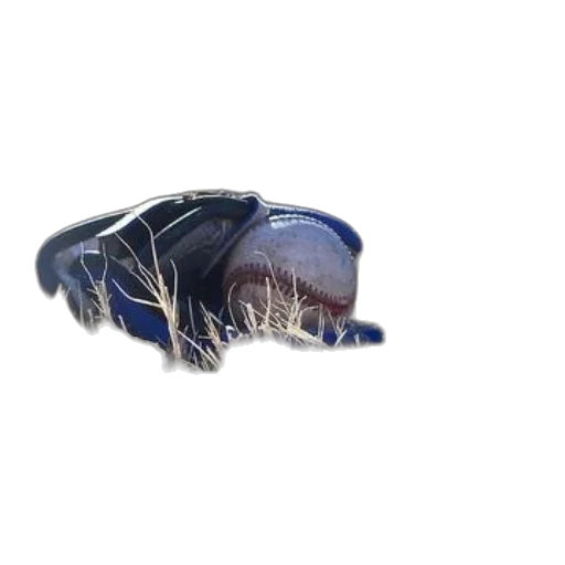 jewelry, shoes, car, crown transparent PNG cut-out