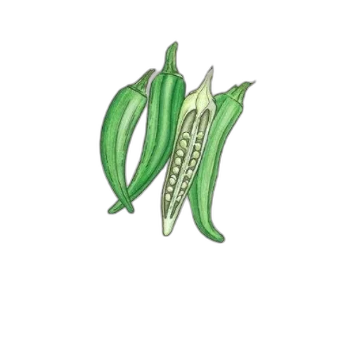 food, flower, weapon, crown transparent PNG cut-out