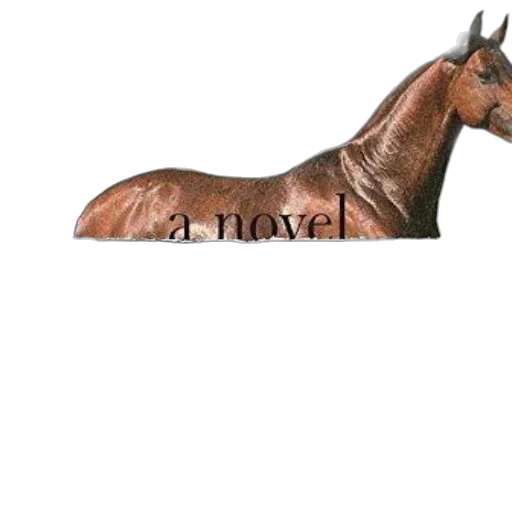 animal, furniture, jewelry, crown transparent PNG cut-out