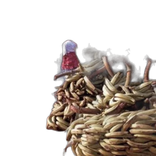 crown, hat, hair, food transparent PNG cut-out
