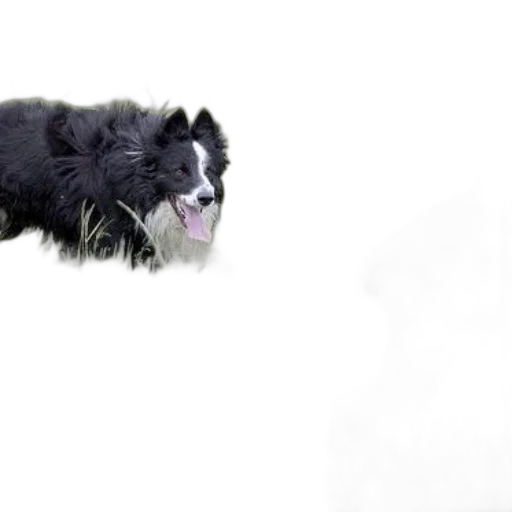 animal, creature, staff, dragon transparent PNG cut-out