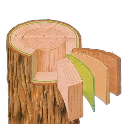 tree, furniture, hair, hat transparent PNG cut-out