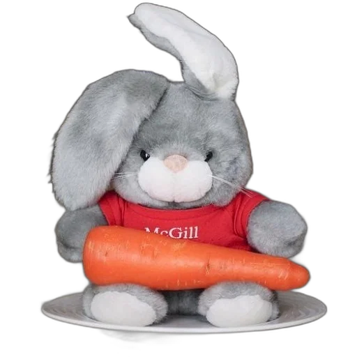 food, animal, 3d render, stuffed transparent PNG cut-out