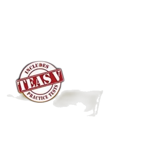 food, staff, 3d render, teas transparent PNG cut-out